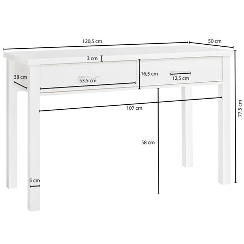 Rootz Modern Desk - Home Office Desk - Writing Table - Timeless Design - Elegant Accent - Plenty of Storage Space - 120cm x 50cm x 77cm