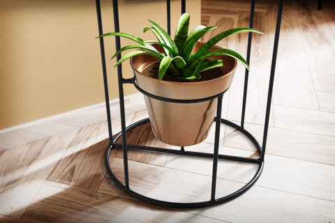 Rootz Modern Plant Stand - Flower Shelf - Flower Rack - Black & Gold - Handcrafted - Removable Pots - Aluminum - Iron - 40cm x 109cm x 40cm