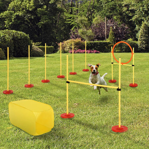 Rootz Dog Agility Set - 4 Obstacles - Training Set - High Jump - Tunnel - Jump Ring - Red+Yellow