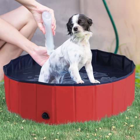 Rootz Dog Pool - Paddling Pool - Swimming Pool - Pet Swimming Pool - Dog Bath - PVC+Wood - Red