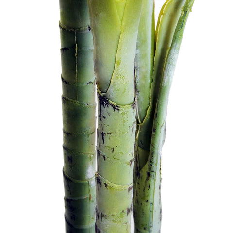 Rootz Artificial Palm Tree  - Artificial Plant With Plant Pot -  Faux Palm Tree - Green - Plastic - 150cm