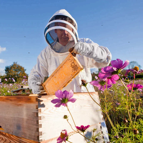 Rootz Beekeeper Suit - Cotton Beekeeper Suit - Full Body Beekeeper Suit - With Kidskin Gloves - Cotton - White - XXXL