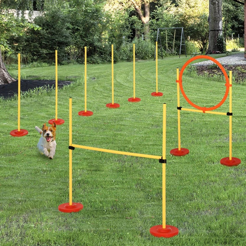 Rootz Dog Agility Set - 3-in-1 Pet Training Set - High Jump - Round Rods - Easy To Carry - Yellow