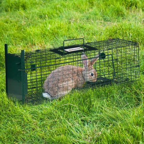 Rootz Live Trap Animal Cage - Humane Animal Trap - Precise Catching Mechanism - Safe for Pets and Children - Camouflaged Design - 60cm x 18cm x 20cm - Steel Construction