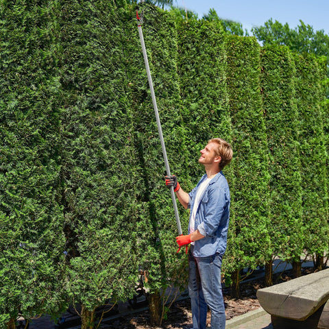 Rootz 1.8m Tree Traps - Pruning Shears - Long-Stemmed Garden Scissors - Lightweight Aluminum Handle - 180cm x 10cm x 3cm