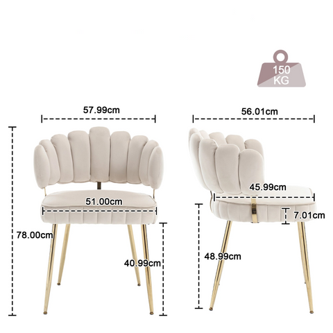 Rootz 2 Piece Velvet Dining Chair Set - Soft Velvet Chairs - Ergonomic Seating - Lumbar Support - 56cm x 58cm x 78cm