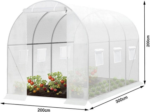 Rootz Premium Large Walk-In Greenhouse - Garden Greenhouse - Plant Shelter - Weather-Resistant PE Mesh - Spacious 6m² Interior - Sturdy 19mm Steel Frame - 300cm x 200cm x 200cm