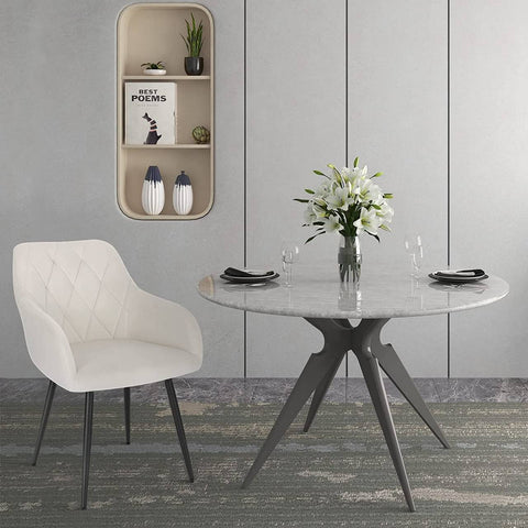 Rootz Velvet Dining Chair Set - Armrest Chair - Kitchen Chair - Breathable Foam Padding - 44cm x 42.5cm x 62cm - Load Capacity: 120kg