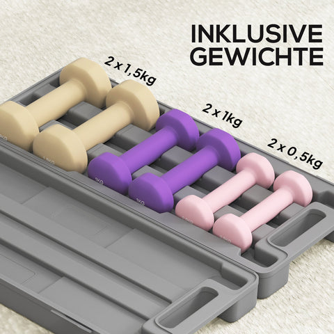 Rootz Dumbbell 6 Set with Suitcase - Weights - Adjustable for Home & Gym - Space-Saving - 43x18x7.5 cm - Dumbbells: Pink and Purple