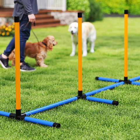 Rootz 7-Part Agility Equipment Set for Dogs - Training Course - Fitness Games - Transport Bag - Jump Hurdles 93cm x 72cm x 92cm