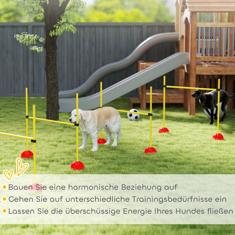 Rootz 4-Part Dog Agility Set - Jumping Training - Obedience Training - Enhances Mobility - 124cm x 19.5cm x 103cm