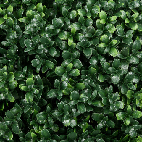 Rootz Set of 2 Artificial Boxwood - Realistic - Weatherproof - Easy Care - 40cm x 70cm