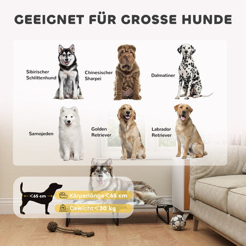 Rootz Portable Elevated Dog Bed - Raised Pet Lounger - Breathable Mesh Bed - Moisture-Repellent Comfort - 107cm x 61cm x 20cm