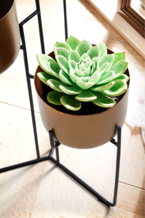 Rootz Bloemenstandaard - Bloemenkolom - Plantendisplay - Handgemaakt metalen ontwerp - Goud en zwart - 45 cm x 80 cm x 45 cm