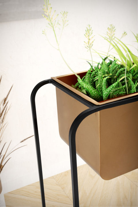 Rootz Modern Design Rectangular Plant Pot - Black & Gold Planter - Elegant & Functional Indoor Plant Holder - 60cm x 60cm x 24cm - Handcrafted Iron Frame - Removable Pot - 5kg Load Capacity