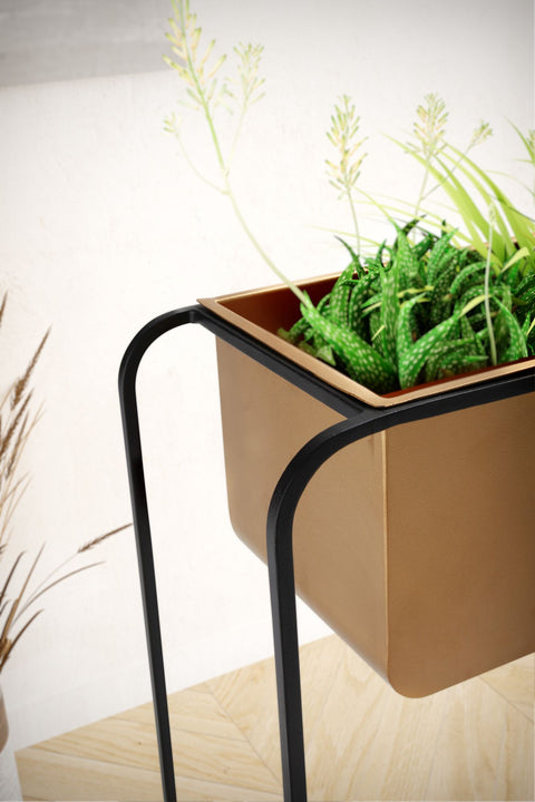 Rootz Modern Design Rechthoekige Plantenpot - Zwart &amp; Goud Plantenbak - Elegante en Functionele Plantenhouder Voor Binnen - 60cm x 60cm x 24cm - Handgemaakt Ijzeren Frame - Verwijderbare Pot - 5kg Laadvermogen
