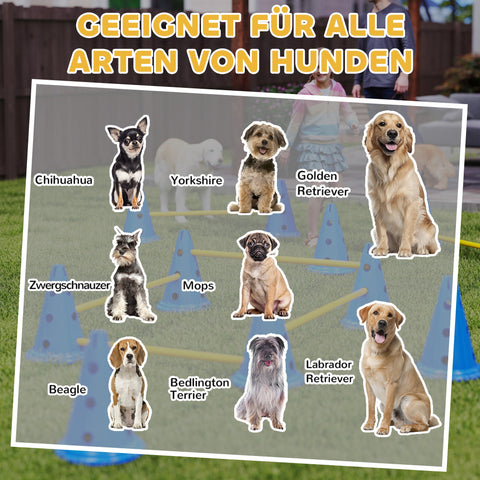 Rootz Dog Agility Set – 6-Piece Training Hurdle Kit – Obstacle Course, Exercise Set – Improves Coordination – Blue/Yellow – 80x22.5x30cm