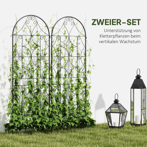 Rootz Metal Trellis Set - Rose Grille - Climbing Plant Support - Rust-Free - Enhances Garden Aesthetics - 50x150 cm, Black