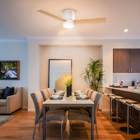 Rootz Ceiling Fan with LED Light - Ceiling Lamp - Ceiling Fixture - Remote Control - 2-in-1 Design - 112cm x 25cm