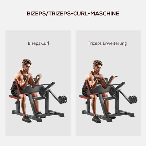 Rootz Curl Bench Machine - Bicep Curl Station - Tricep Extension - Customizable Workout - 25 Angle Settings - Weight Plates - Compact Design - 105L x 95W x 80H cm