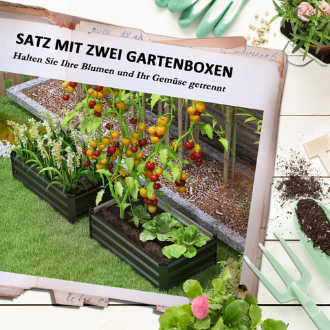 Rootz Raised Garden Bed Set - Kruidenbed - Weerbestendige plantenbak - Bevordert een gezonde wortelgroei - Duurzaam gegalvaniseerd staal - 100 cm x 60 cm x 30 cm - Donkergrijs