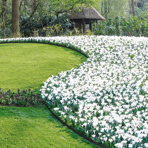 Rootz Premium Lawn Edging System - Garden Border - Landscape Edging - Durable, Flexible, Weatherproof - 10m/20m x 5cm x 5cm