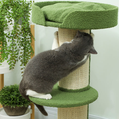 Rootz Cat Tree - Cat Tower - Scratching Post - Lamb Wool Comfort - 91cm x 45cm x 45cm - Green