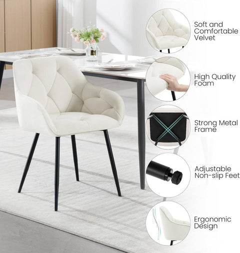 Rootz Velvet Dining Chair - Elegant Chair - Comfortable Seating - Luxurious, Durable, Ergonomic - 56cm x 83.5cm x 53cm