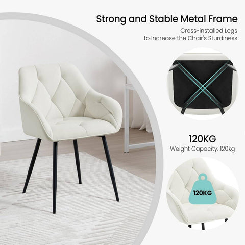 Rootz Velvet Dining Chair - Elegant Chair - Comfortable Seating - Luxurious Feel - Durable Design - Ergonomic Support - 56cm x 83.5cm x 53cm