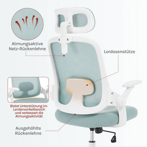 Rootz Ergonomic Office Chair - Lumbar Support - Adjustable Desk Chair - Breathable Mesh - 63.5 x 109.5-117.5 x 50 cm