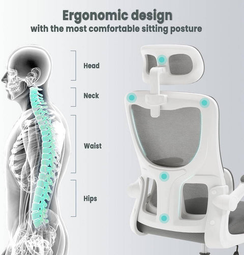 Rootz Ergonomic Office Chair - Desk Chair - Swivel Chair - Elastic Mesh - Lumbar Support - 62cm x (116-123.5)cm x 69.5cm