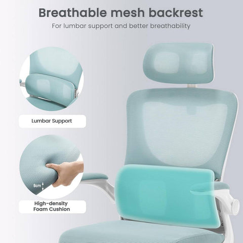 Rootz Ergonomic Office Chair - Mesh Desk Chair - Lumbar Support - Rocking Function - Adjustable Headrest - 62cm x (116-123.5)cm x 69.5cm