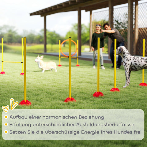 Rootz 3-part Agility Set for Dogs - Dog Training Equipment - Dog Skills Booster - Safe & Portable - Versatile Use - 83cm x 19.5cm x 103cm