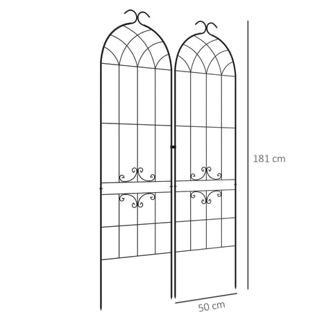 Rootz Lot of 2 Garden Grids - Climbing Aid - Metal Plant Support - Promote Plant Growth - 50L x 181H cm, Black