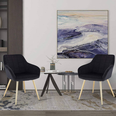 Rootz Velvet Dining Chairs - Golden Leg Chairs - Upholstered Chairs - Comfortable, Durable, Versatile - 43cm x 55cm x 81cm