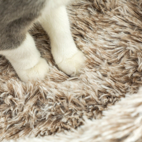 Rootz Cat Tree - Cat Tower - Scratching Post - Soft Plush Bed - 45cm x 45cm x 87cm