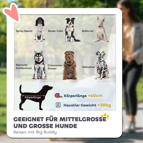 Rootz Dog Buggy - Pet Stroller - Animal Carriage - Foldable Steel Frame with Lying Pillow - Red/Black - 111cm x 70cm x 97.5cm