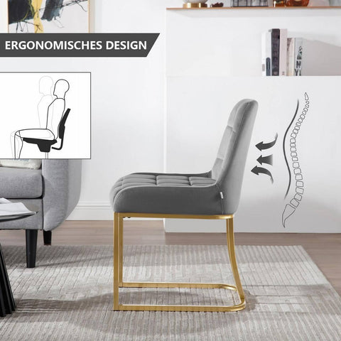 Rootz Dining Chair Set - Kitchen Chairs - Upholstered Seating - Ergonomic Comfort - 39x45cm Seat, 49cm Height - Velvet & Metal Frame - Grey