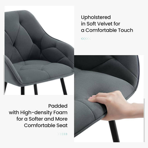 Rootz Dining Chair - Velvet Maded Chair - Ergonomic Chair - High Quality Chair - 56cm x 83.5cm x 53cm - Black, Gray, Cream