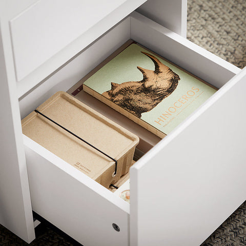 Rootz Mobile Office Cart - Side Table with Wheels - Printer Stand - Storage Drawers - Lockable Casters - Easy Assembly - White - 40cm x 54cm x 40cm