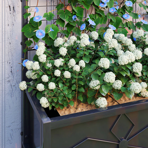 Rootz Raised Bed with Trellis - Planter Box - Garden Container - Weather-Resistant - 90cm x 40cm x 120cm