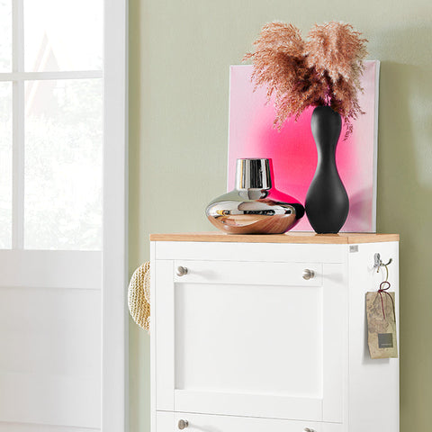 Rootz Modern Shoe Cabinet - Shoe Organizer - Shoe Storage - Space-Saving Design - Wall-Mountable - Sturdy Build - 59cm x 116cm x 26cm