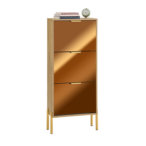 Rootz Shoe Storage Cabinet - Shoe Organizer - Shoe Rack - Golden Glass Doors, Metal Legs, Stable Design - 55x124x24cm