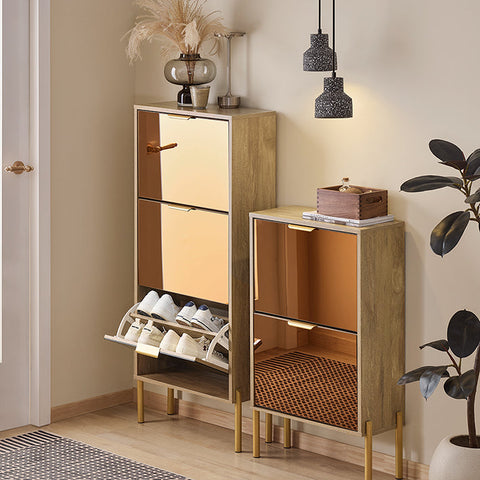 Rootz Shoe Storage Cabinet - Shoe Organizer - Shoe Rack - Golden Glass Doors, Metal Legs, Stable Design - 55x124x24cm