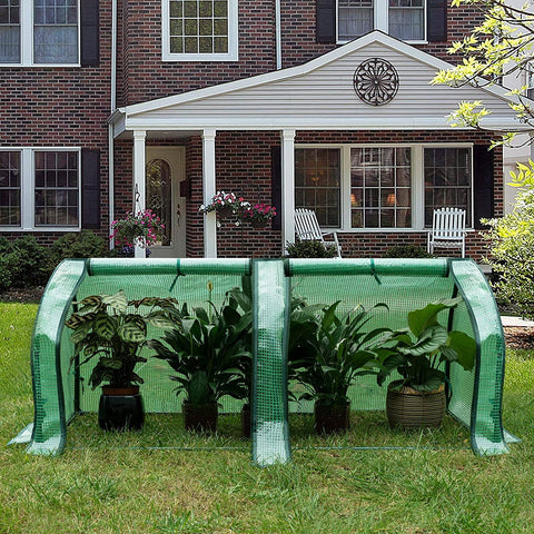 Rootz Film Greenhouse - Plant Shelter - Tomato House - UV Resistant - 130cm x 60cm x 50cm - All Year Round - White/Green
