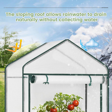 Rootz Film Greenhouse - Tomato House - Growing Tent - Cold Protection - 100cm x 50cm x 190cm