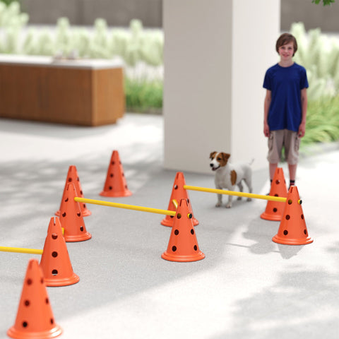 Rootz Agility Set Dogs - Dog Training Equipment - Canine Fitness Gear - Enhances Concentration - 80cm x 22.5cm x 30cm