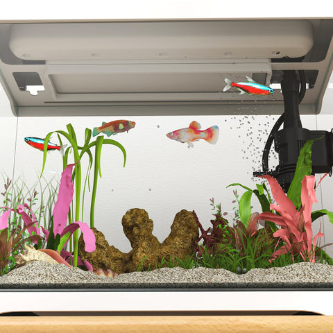 Rootz 17L Tropical Aquarium - Fish Tank - LED Light Aquarium - Easy Maintenance - 35cm x 21cm x 31cm