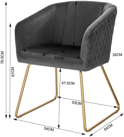 Rootz Velvet Dining Chairs Set - Elegant Chairs - Comfortable Seating - Aesthetic Design - Durable with Golden Metal Legs - Non-Slip Floor Protectors - Easy Assembly - 76.5cm x 43cm x 41cm