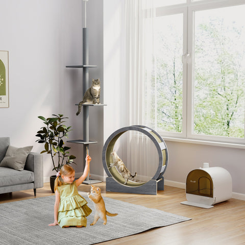 Rootz Cat Wheel - Cat Balance Bike - Cat Exercise Toy - Safe Brake - 91cm x 33.5cm x 94cm - Healthy Activity for Cats